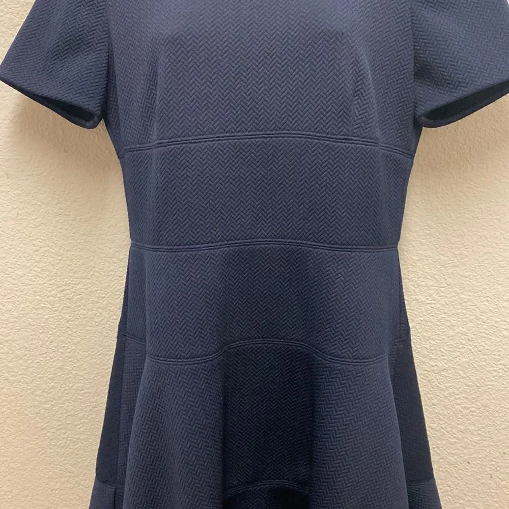 Rebecca Taylor Scoop Neck Textured Fit & Flare Dress Size 10